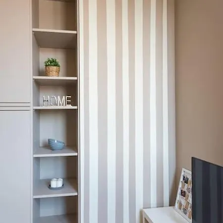 Comfort Zone - Mole *