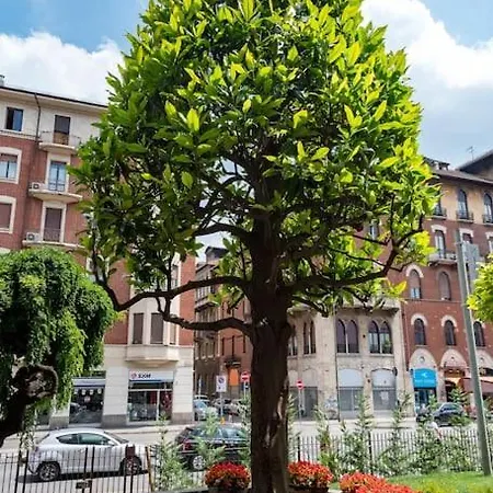 Comfort Zone - Mole * Turin