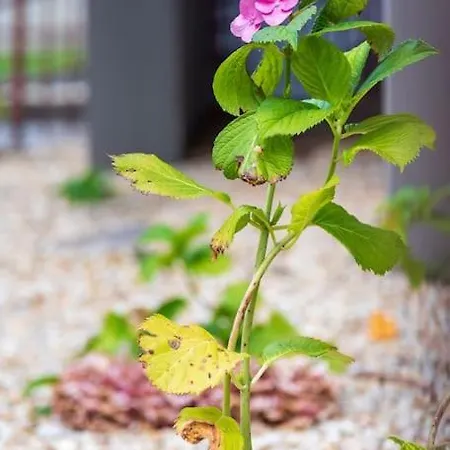 Comfort Zone - Mole Appartement *